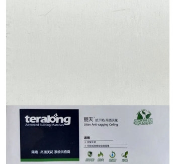 臺(tái)榮麗天吊頂硅酸鈣板